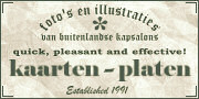 platen